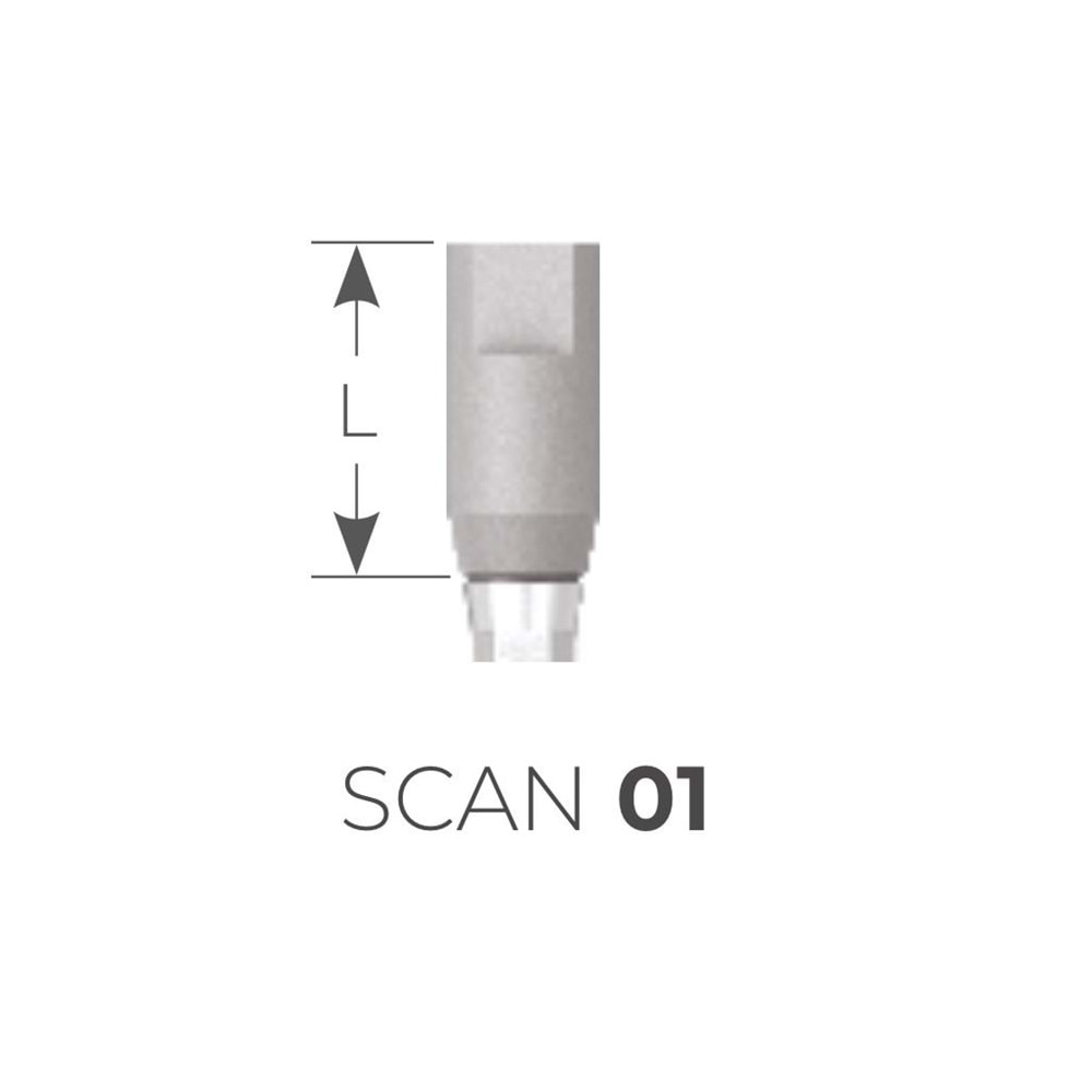 Scan Adapter SCAN 01[H]