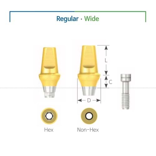 Submerged Cemented Abutment SSCA 45507H