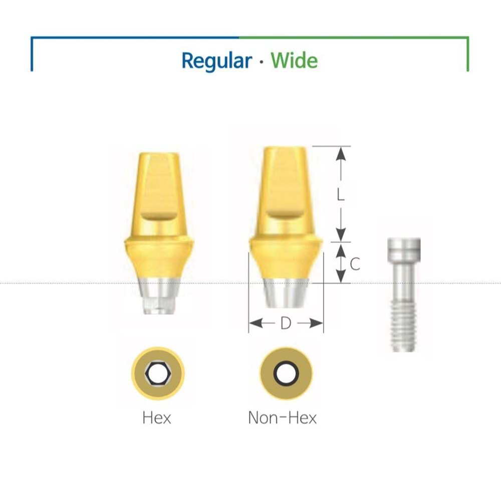 Submerged Cemented Abutment SSCA 45207H