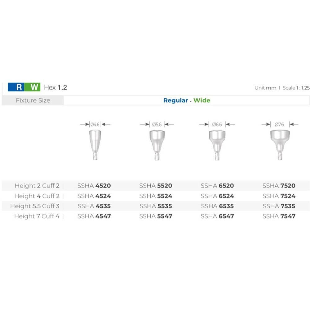 Submerged Healing Abutment SSHA 4524
